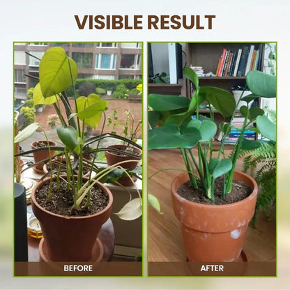 Soil Pro Bodemactivator – Laat zwakke planten weer zichtbaar groeien
