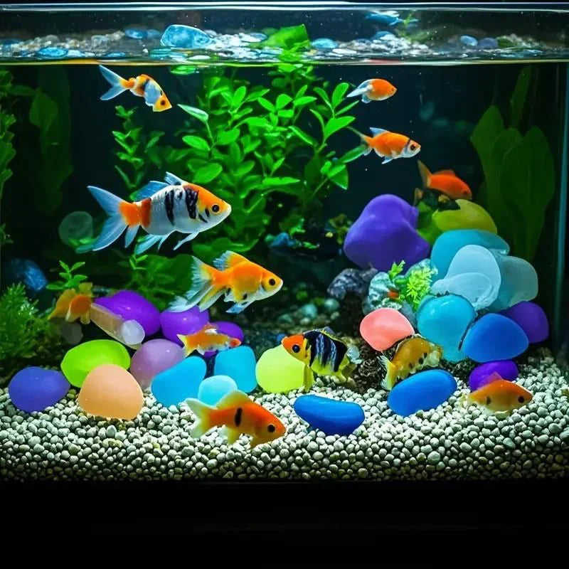 🔥 Zomeruitverkoop – GlowStone™ Lichtgevende Tuinstenen voor een Magische Avondsfeer