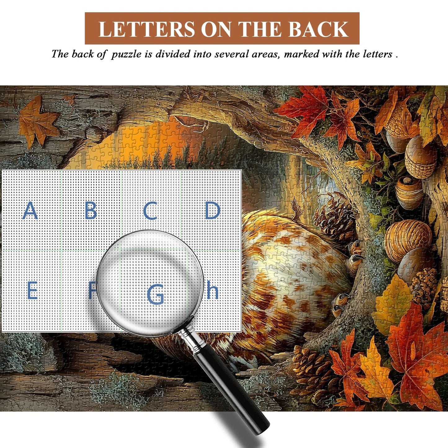 Herfstgloed puzzel – 1000 stukjes