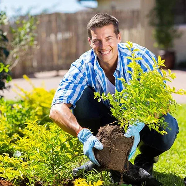 Soil Pro Bodemactivator – Laat zwakke planten weer zichtbaar groeien